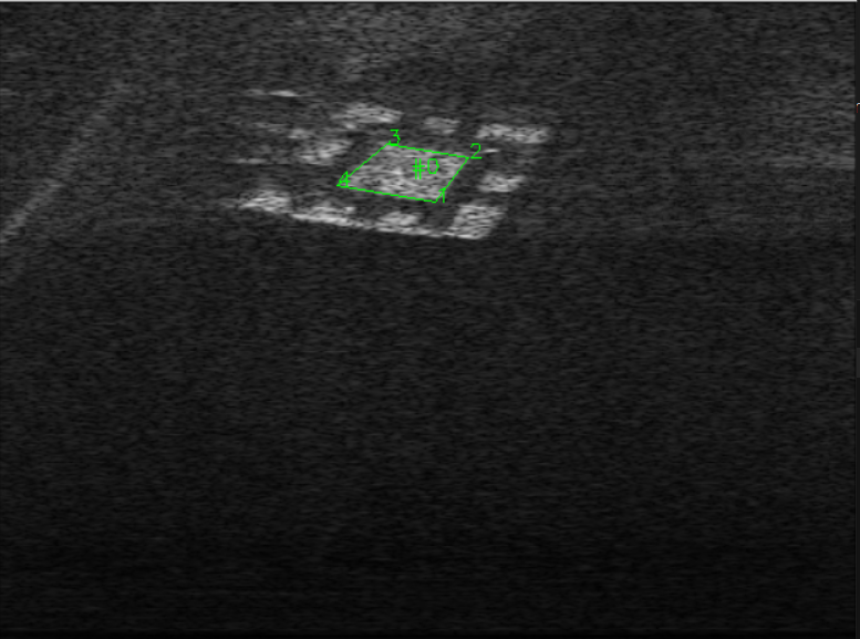 Example Sonar Image with the AcTag corners shown.