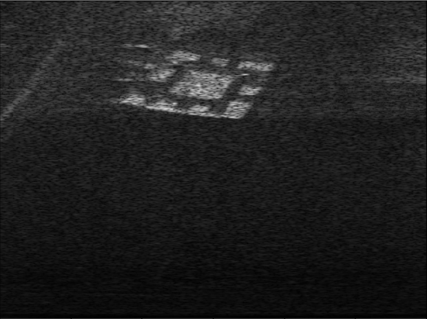 Example Sonar Image with an Actag.
